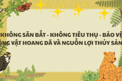 V/v triển khai Kế hoạch bảo vệ động vật hoang dã và nguồn lợi thủy sản