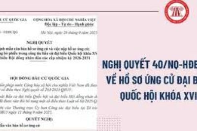 V/v triển khai văn bản của Hội đồng bầu cử quốc gia về điều chỉnh một số biểu mẫu ban hành kèm theo Nghị quyết số 40/NQ-HĐBCQG