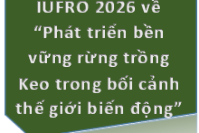 V/v thông tin Hội thảo IUFRO 2026 về “Phát triển bền vững rừng trồng Keo trong bối cảnh thế giới biến động”