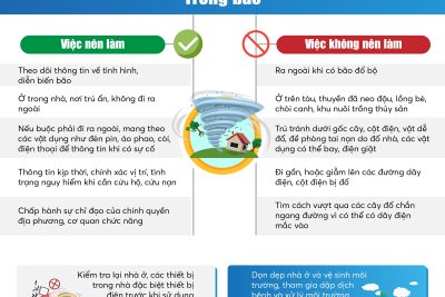 V/v chủ động ứng phó Bão số 9
