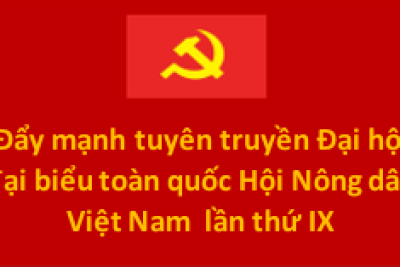 Đẩy mạnh tuyên truyền Đại hội đại biểu toàn quốc Hội Nông dân Việt Nam  lần thứ IX