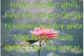 V/v triển khai cao điểm tuyên truyền, phối hợp tấn công, trấn áp tội phạm ma túy giữa Việt Nam, Trung Quốc, Lào, Myanmar, Campuchia