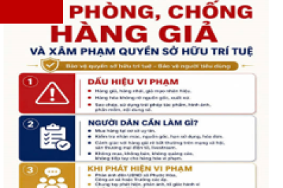 Về việc thực hiện các giải pháp đấu tranh, ngăn chặn và xử lý hành vi buôn lậu, gian lận thương mại, hàng giả và xâm phạm quyền sở hữu trí tuệ