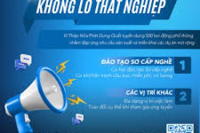 V/v cung cấp thông tin về nhu cầu tuyển dụng năm 2026 của Công ty Cổ phần thép Hoà Phát Dung Quất