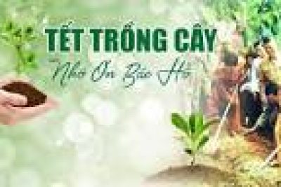 Về việc tổ chức “Tết trồng cây đời đời nhớ ơn Bác Hồ” dịp Xuân Bính Ngọ và tăng cường quản lý, bảo vệ rừng năm 2026