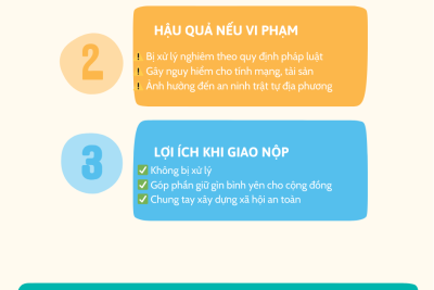 V/v tăng cường công tác quản lý, phòng ngừa, đấu tranh với tội phạm, vi phạm pháp luật về vũ khí, vật liệu nổ, công cụ hỗ trợ và pháo